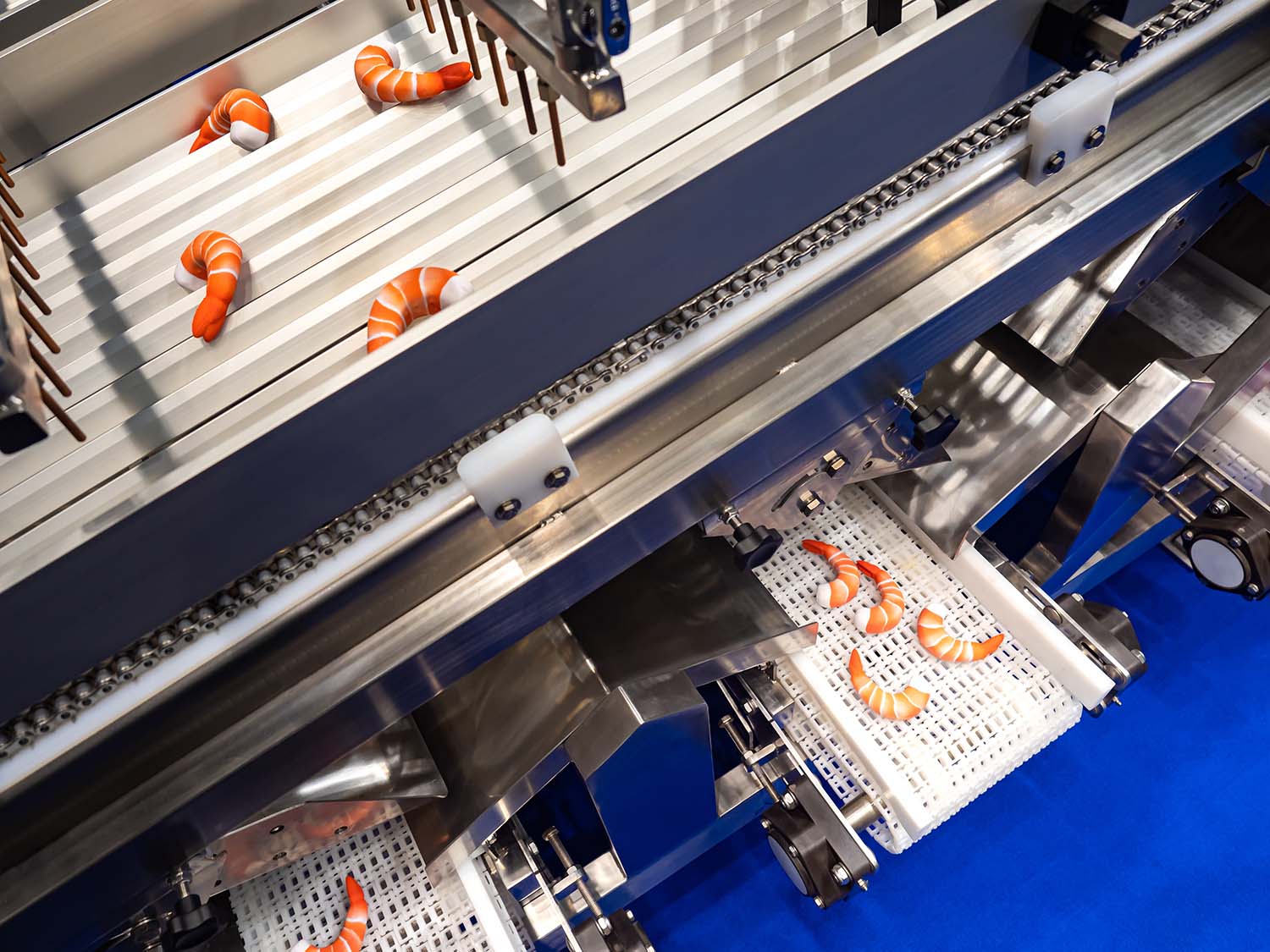 IQF Fiser Mexico Cuartos Frios