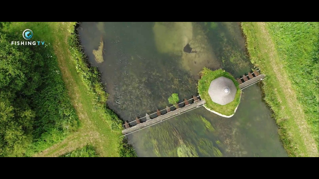 CHALK The Movie Film Review Fish & Fly