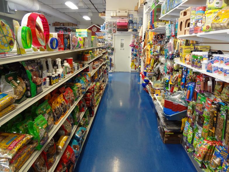FISH AND PETS PLUS Flemington, NJ 08822