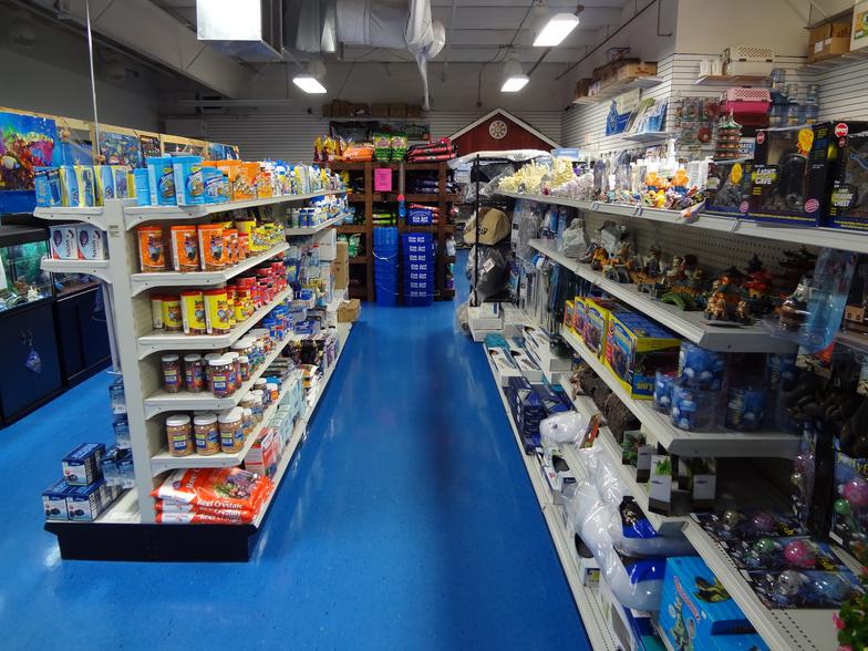 FISH AND PETS PLUS Flemington, NJ 08822