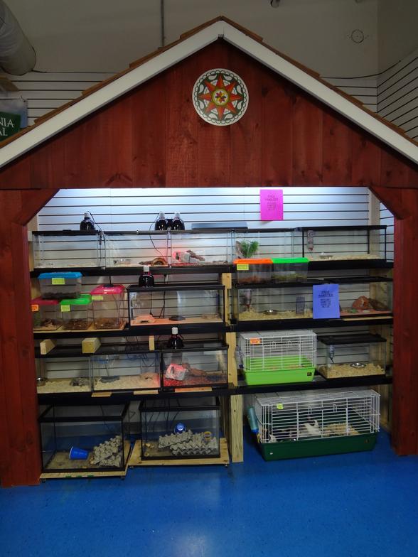 FISH AND PETS PLUS Flemington, NJ 08822