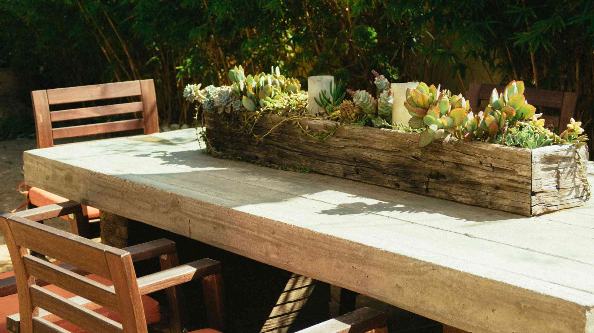 4 DIY Natural Wood Project Ideas for Your Garden or Backyard