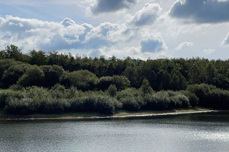 Springfield Meadows, Beaworthy Fishery Guide