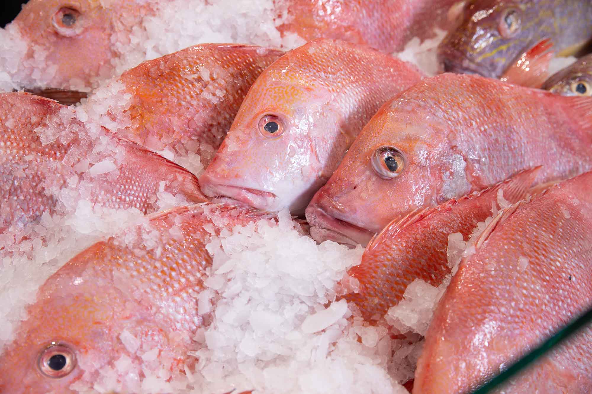 The Fish Factory Brisbane Fresh Seafood Market, Bistro, Sushi, TakeOut