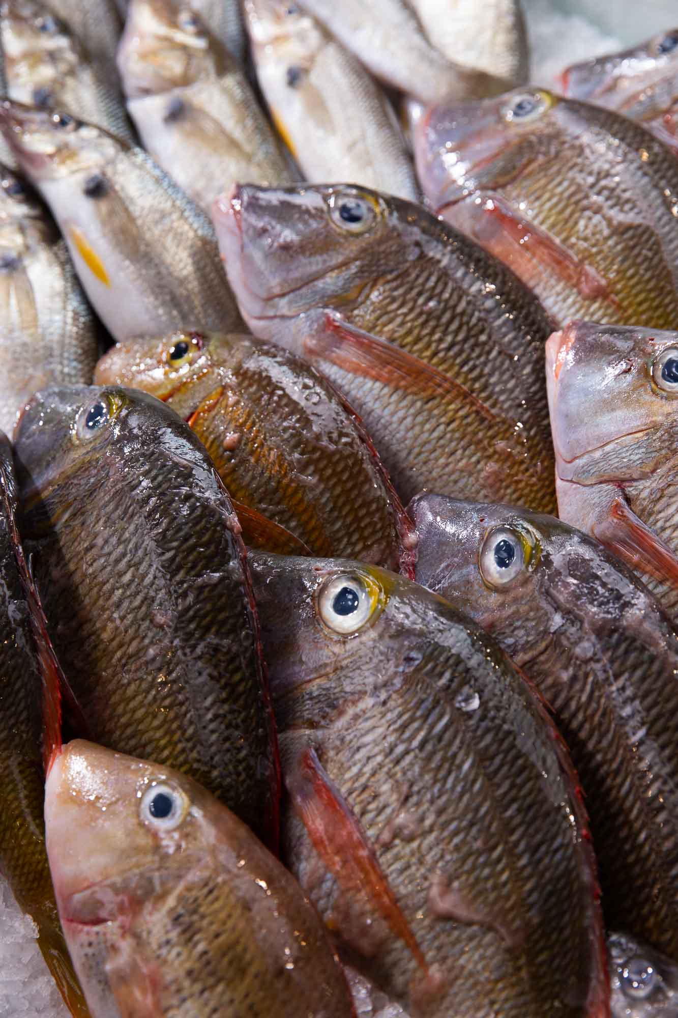Fresh Seafood Market The Fish Factory