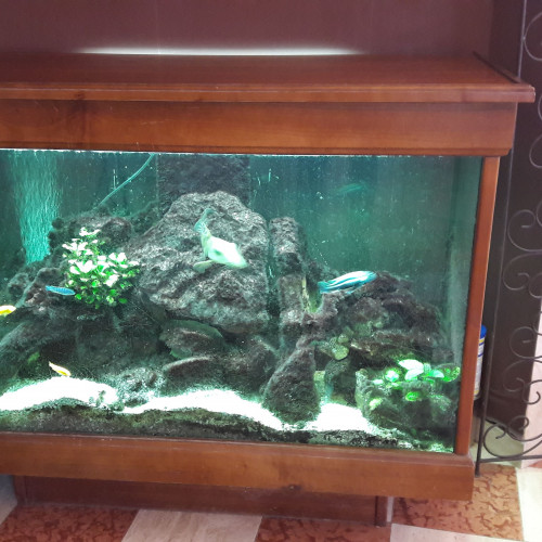 Acheter bel aquarium bar de salon sur pied de 450 litres