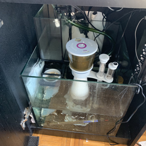 Acheter vends red sea reefer max e 170 + kit decante et