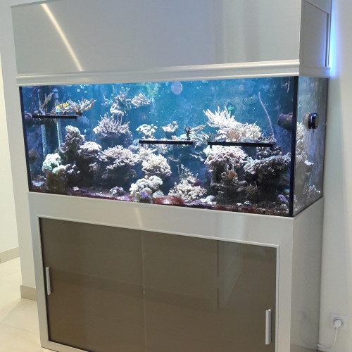 Acheter aquarium récifal complet de 450 litres