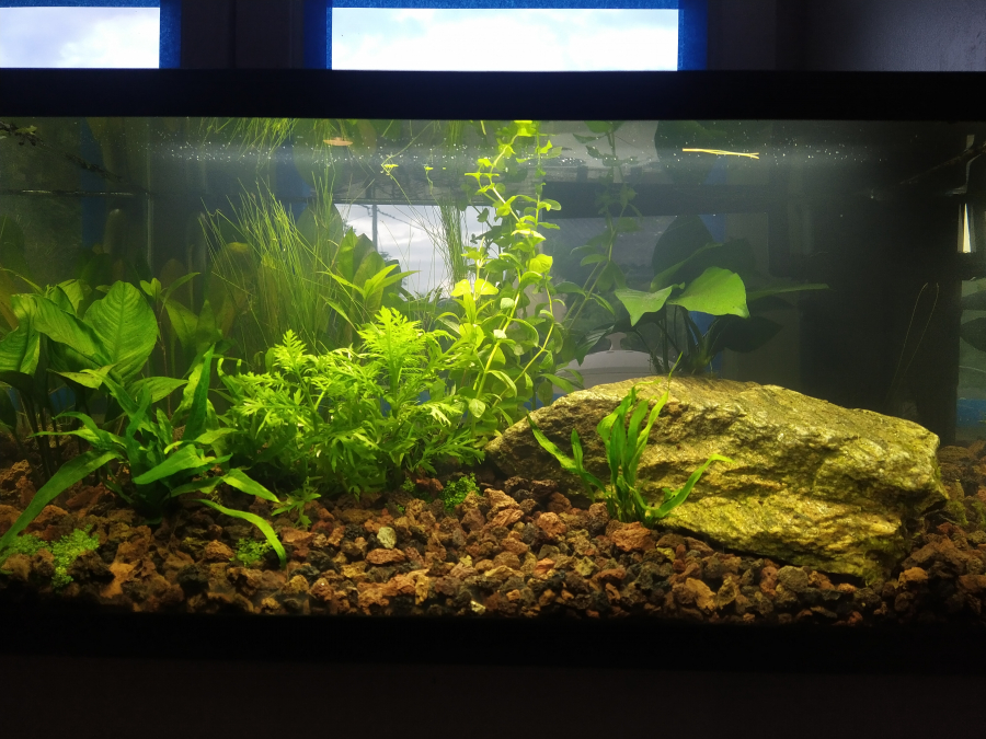 Aquarium de axeldufant granit house