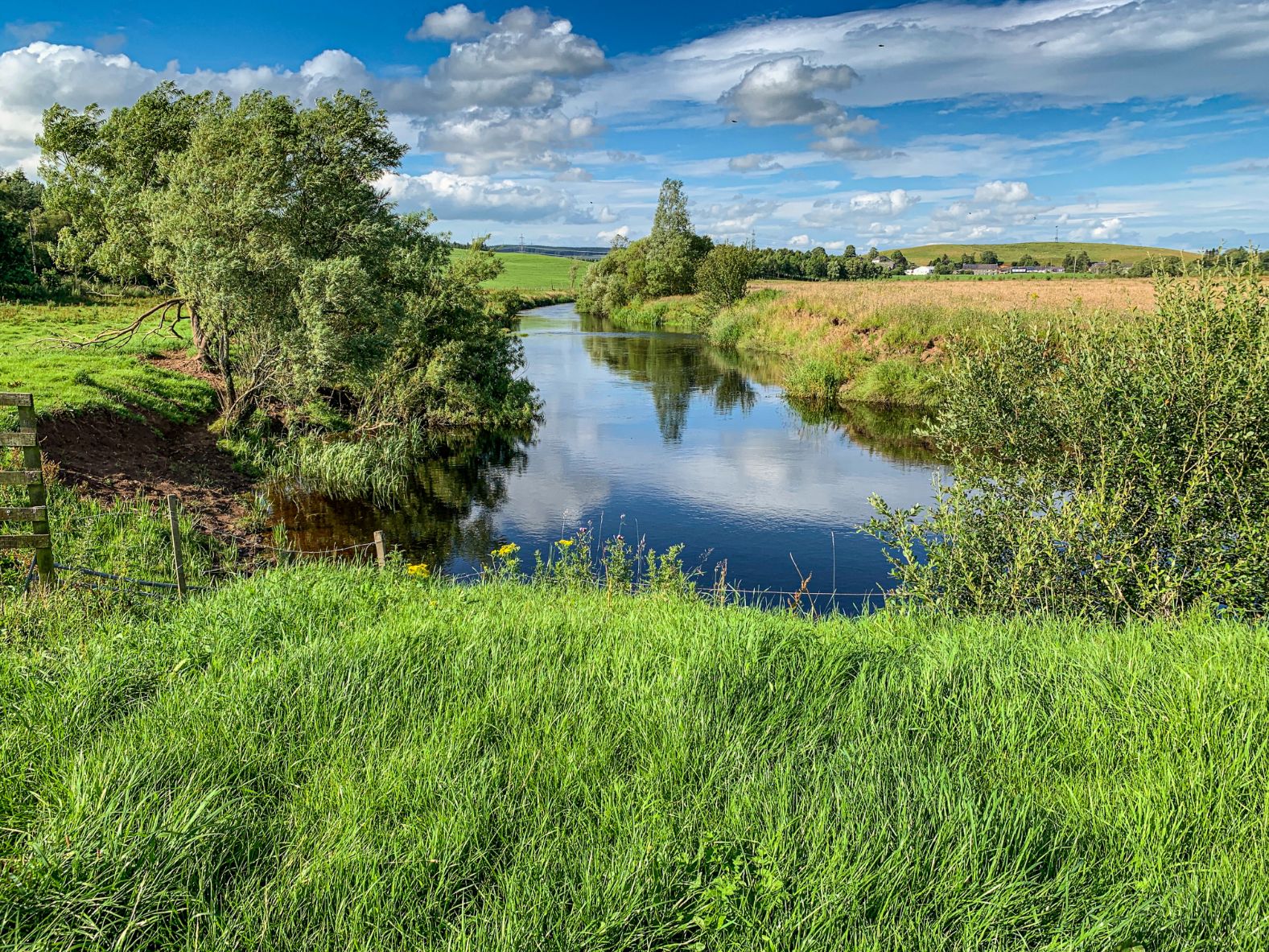 Allan Water Angling Improvement Association Youth Day Permit