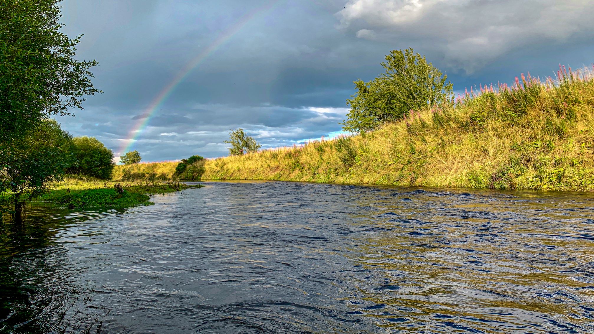 Allan Water Angling Improvement Association Youth Day Permit
