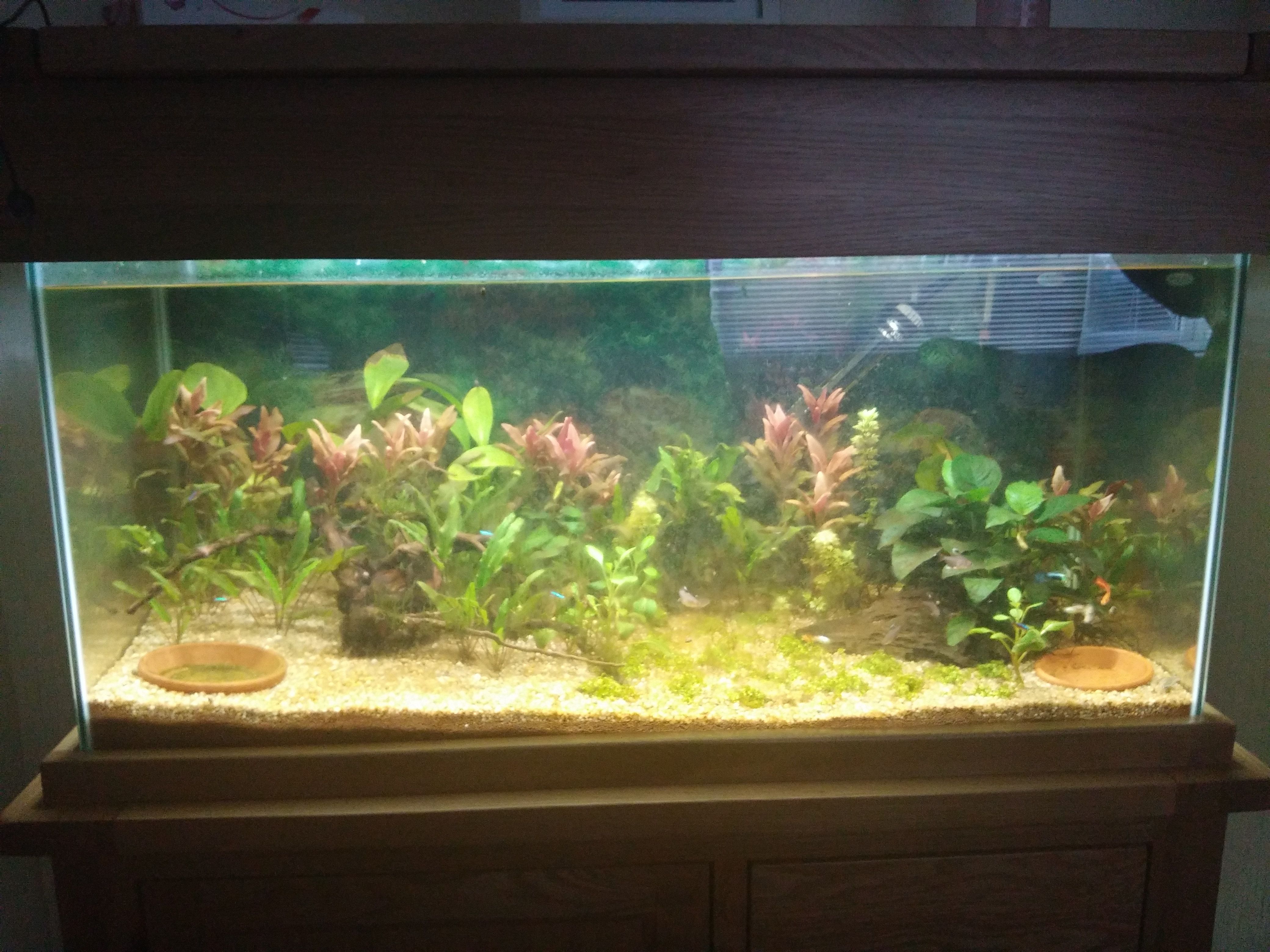 Fish Tank Litres Calculator Uk Bruin Blog