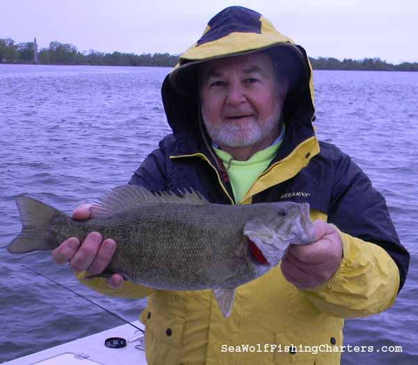 Lake Erie Smallmouth Bass Fishing Charter Seawolf Lake Erie Fishing