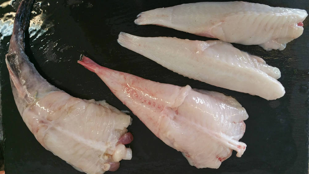 Monkfish How to Cook It Fish Glorious Fish