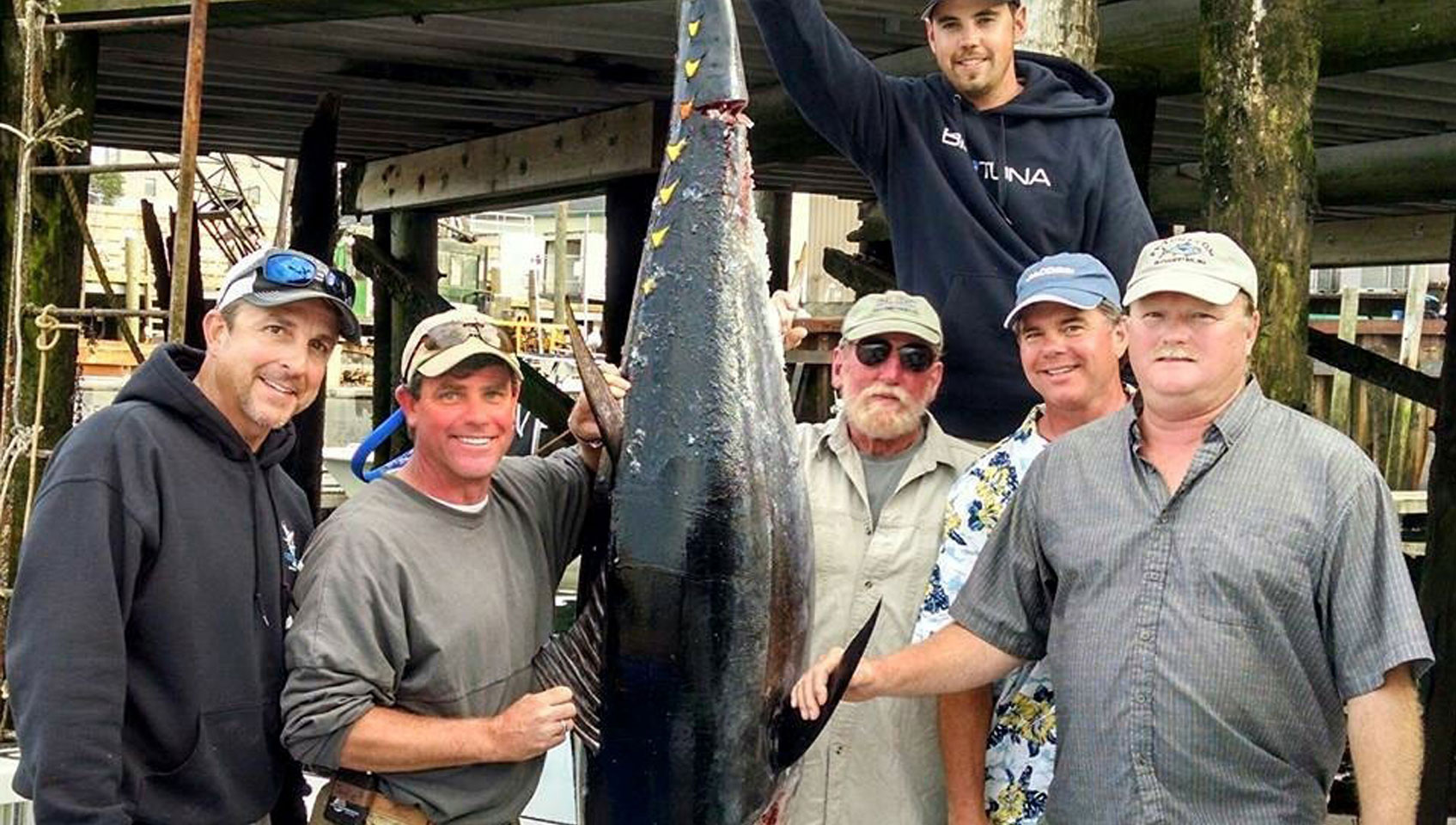 Untitled1 Fish Gloucester