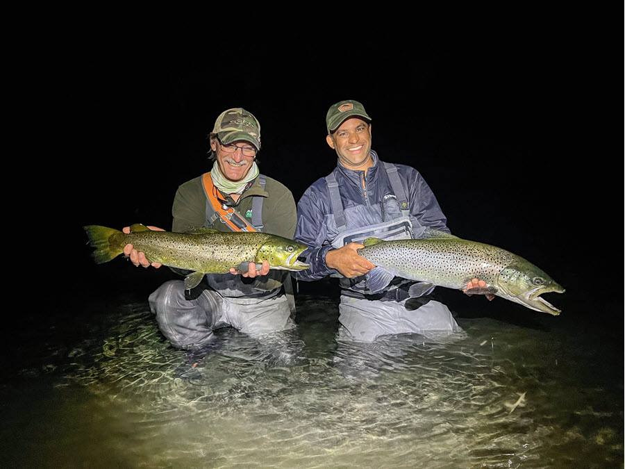 Catching Trophy Brown Trout at Night The Fishing site