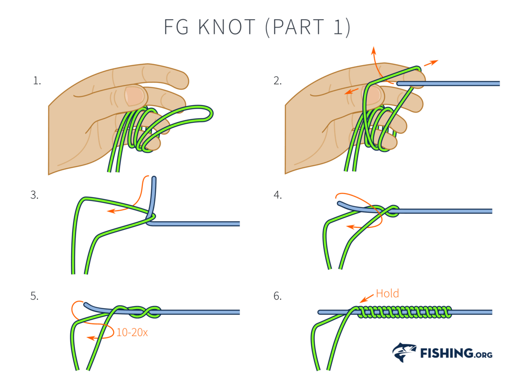 FG Knot