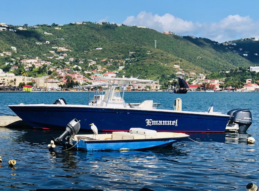 St Thomas Fishing Photos Capt Alvin Fishing Charters