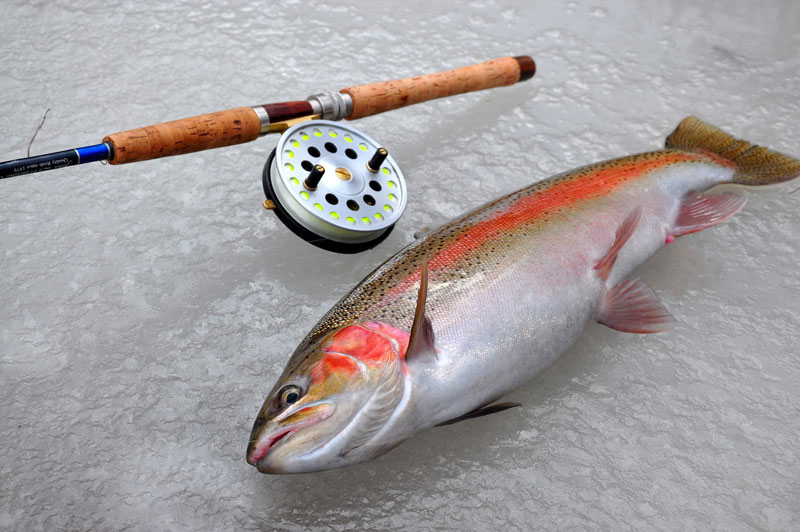 Fishing Monroe County