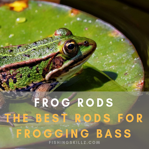 Gone Froggin’! Here’s The BEST FROG RODS in 2019 (Top 3 Reviewed)