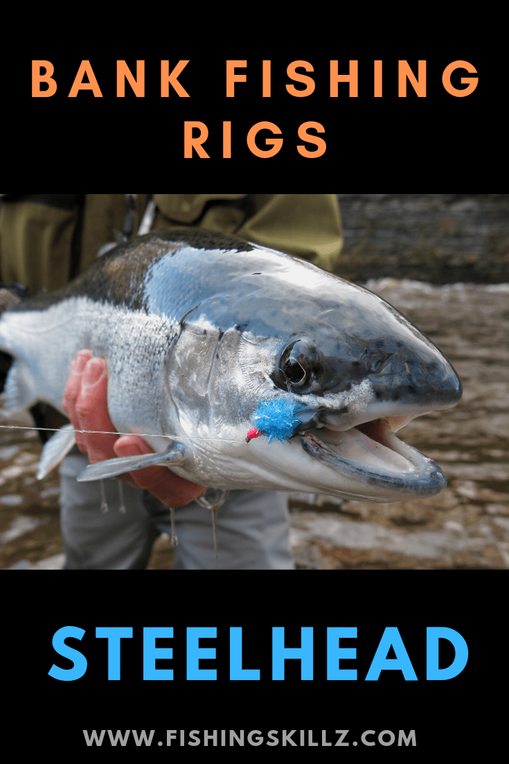 6 BEST Steelhead Rigs For Bank Fishing (Tried and True Steelhead Rigs)