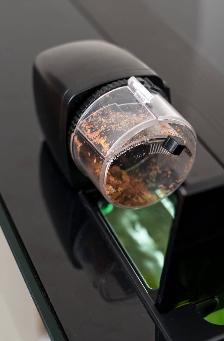 Automatic Fish Feeder Complete Guide To Picking The Best One