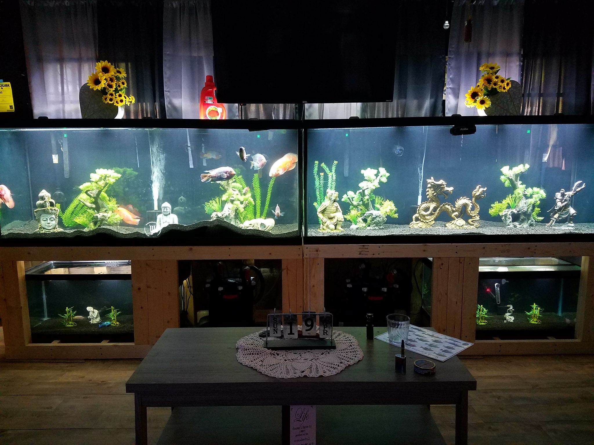 30 Gallon Breeder Aquarium