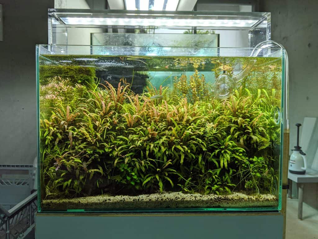 Nano Aquarium Lights Guide