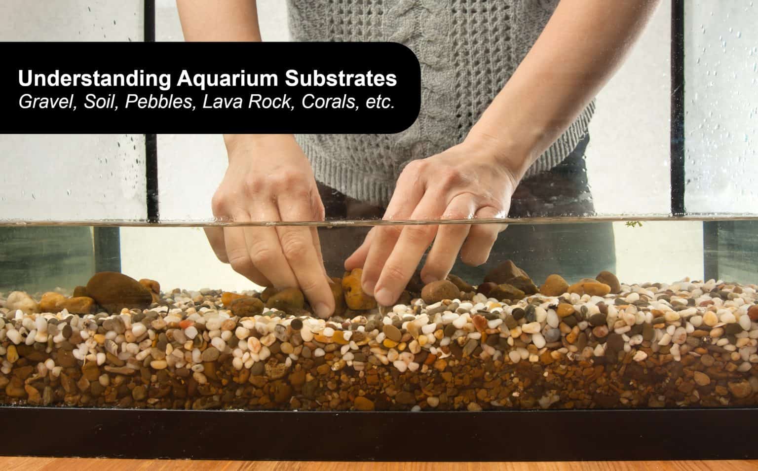 Best Aquarium Substrate: Guide to Gravel, Sand, Soil & More - Fish