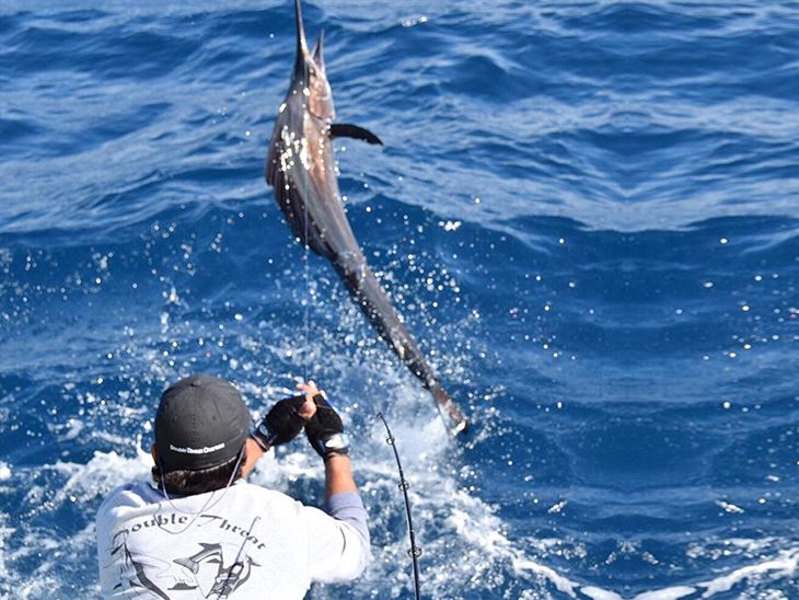 Miami Fishing Charters Double Threat Fishing Charters in Miami FL