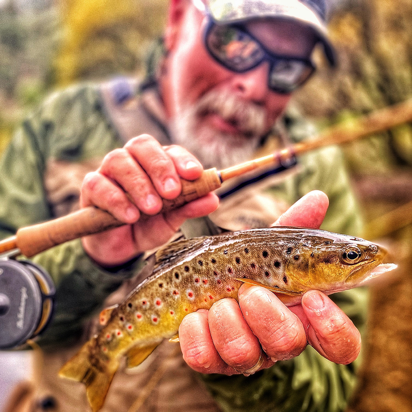 BRIGHT — VIC Fishotopia