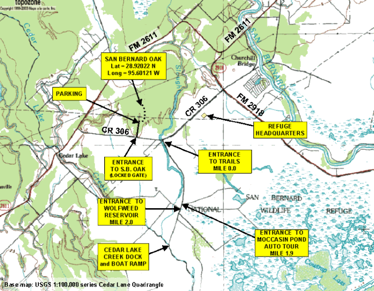 San Bernard Wildlife Refuge near Sargent Texas Fishsargent