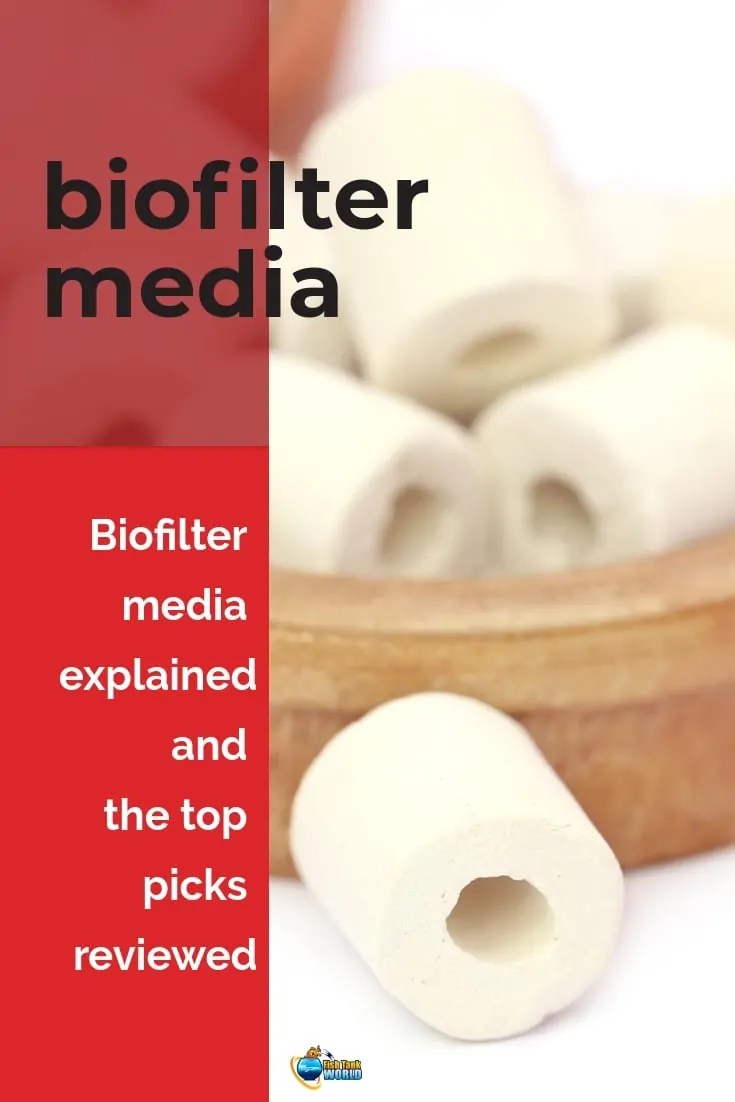 Best Biological Filter Media for your Aquarium Fish Tank World
