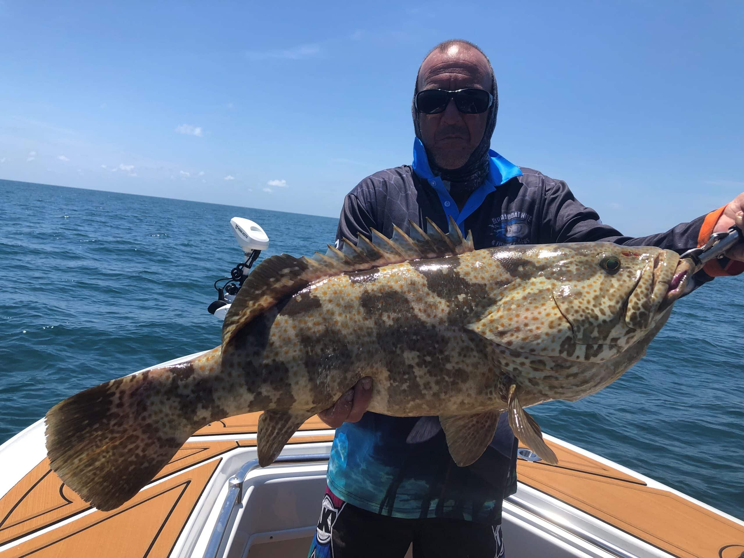 Dundee Beach Fishing Charters Offshore Sport & Reef Fishing Dundee
