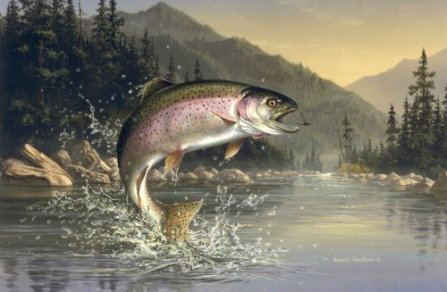 Jumping Trout photo and wallpaper. Cute Jumping Trout pictures