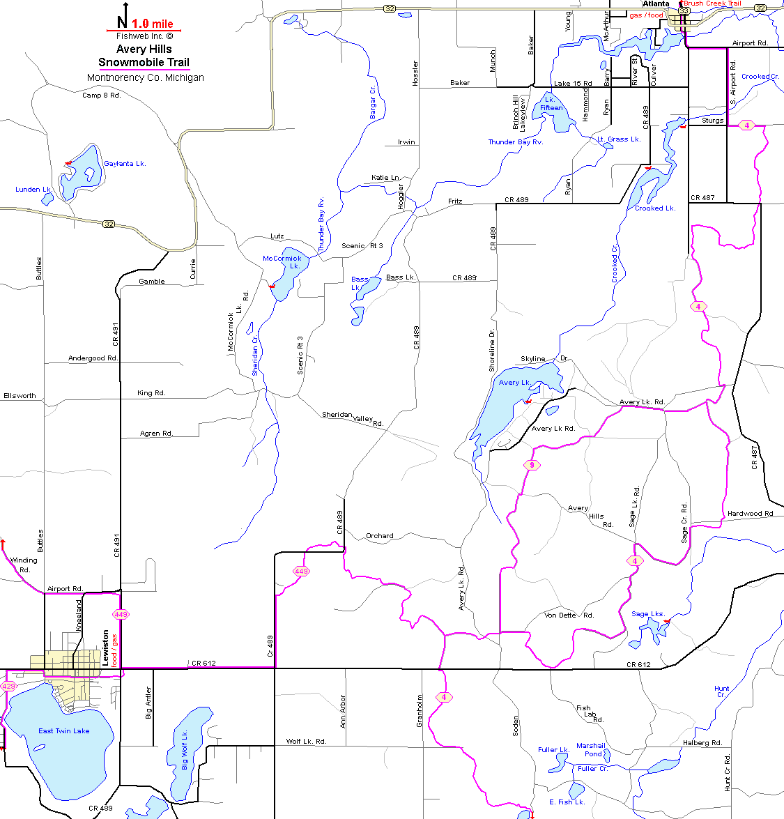 Michigan Snowmobiling Avery Hills, Atlanta Lewiston Snowmobile Trail