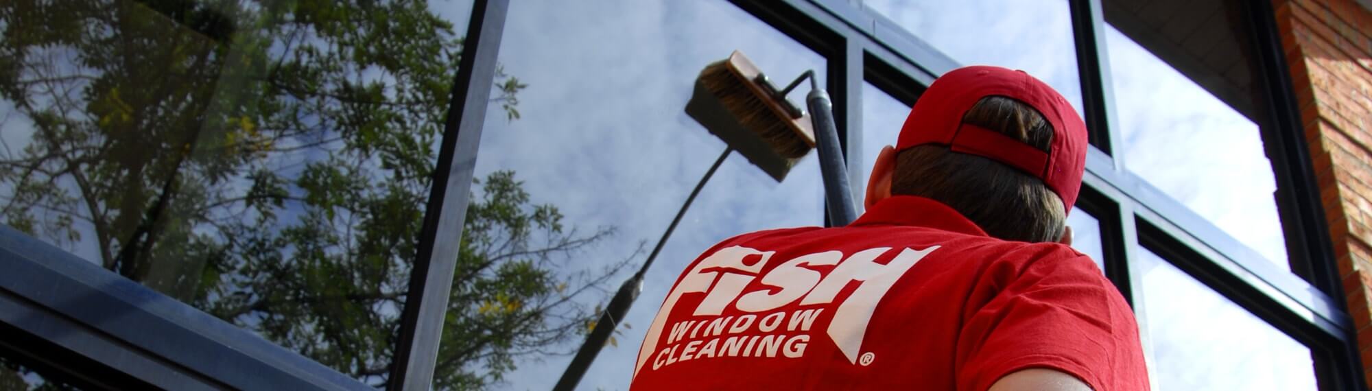Fish Window Cleaning Bothell, WA, Woodinville, Kirkland, Redmond