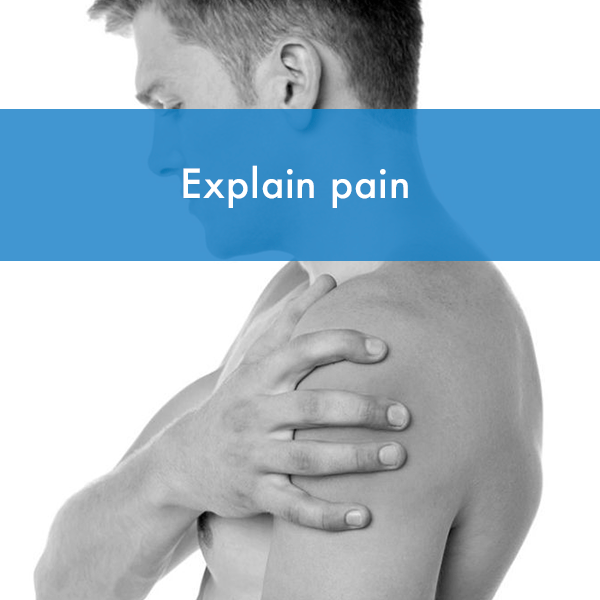 Curso sobre Explain Pain FisioDocent Cursos de Fisioterapia presenciales en Andalucía