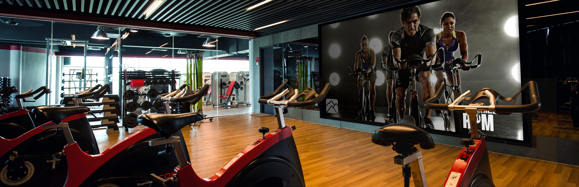 Level Up Fitness FitboxVirtual