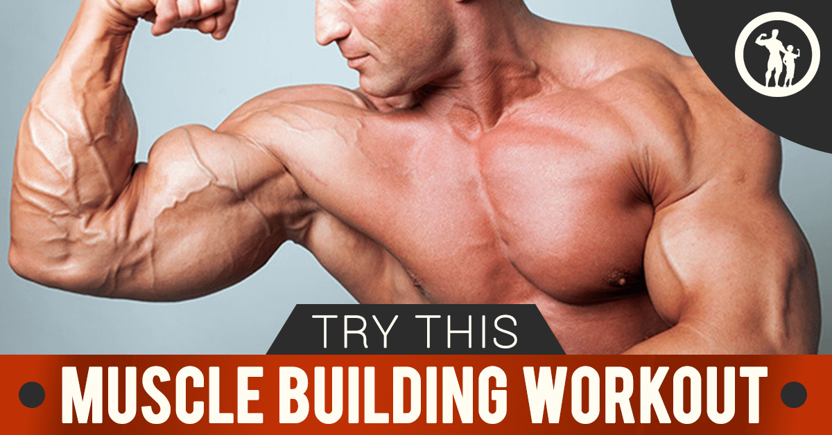 Advanced Bodybuilder Workout Muscle & Strength