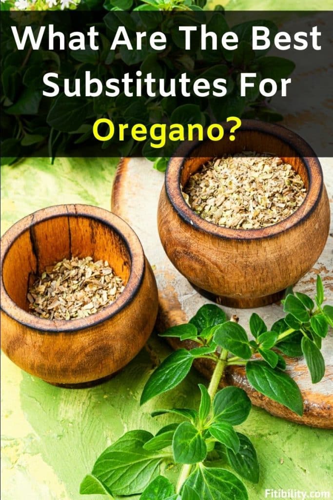 7 Best Oregano Alternatives That Are Flavorful and Aromatic Fitibility