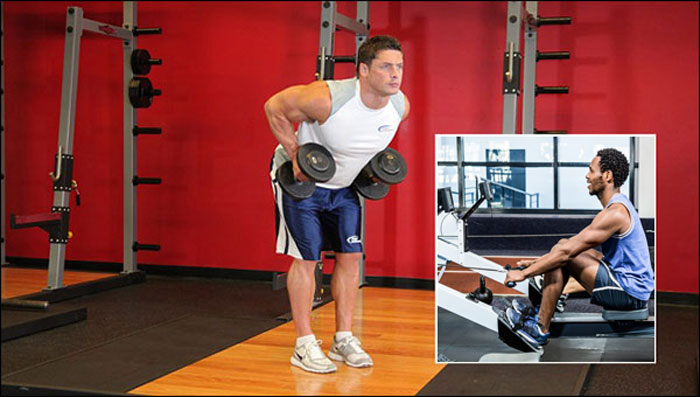 Seated Cable Row vs. BentOver Barbell Row, Workouts at fitking