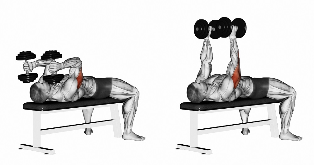 8 Arm Exercises to Build Muscle Fitness 1440