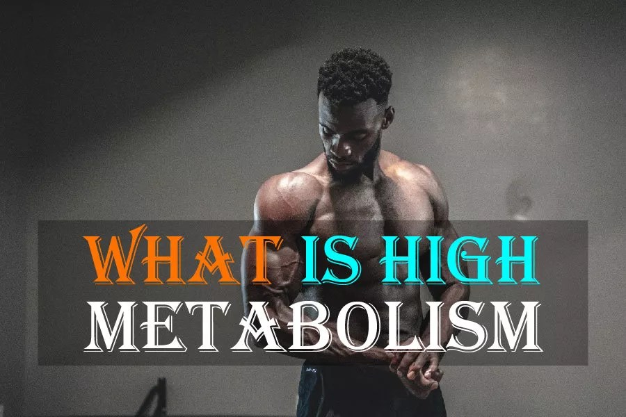 What Is High Metabolism Understanding Bodily Functions FIT Orbit