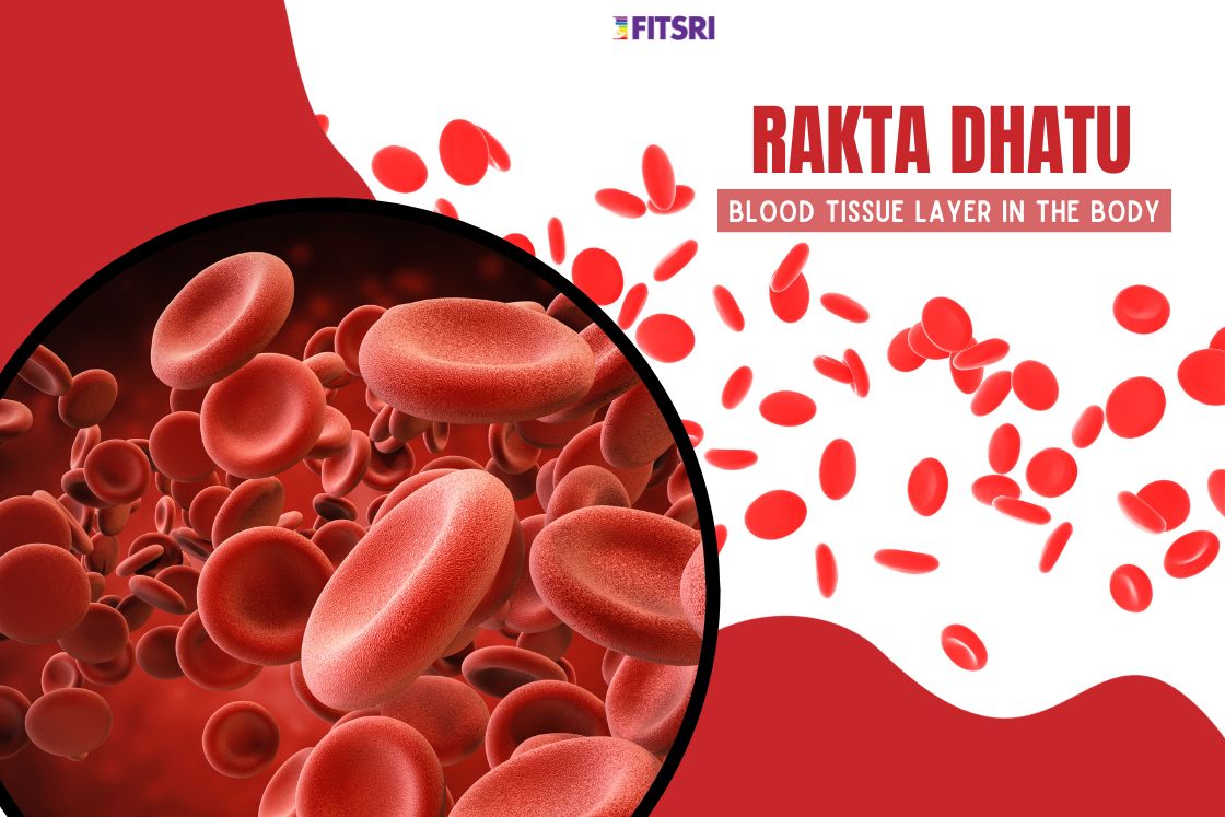 Rakta Dhatu Understanding the Blood Tissue Layer in Ayurveda Factfalls