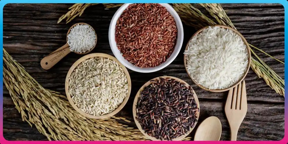 Is Rice Good For Weight Loss? Myth or Fact Fitterfly