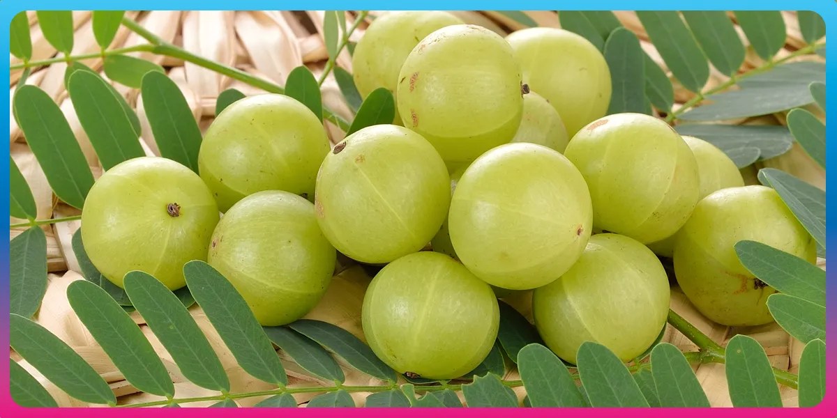 Is Amla (Gooseberry) Good for Diabetes? Fitterfly