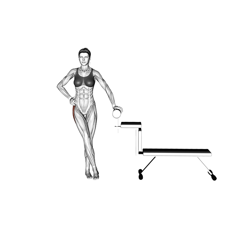 Bauch Beine Po Übungen PDF (Download + Bilder + Videos)