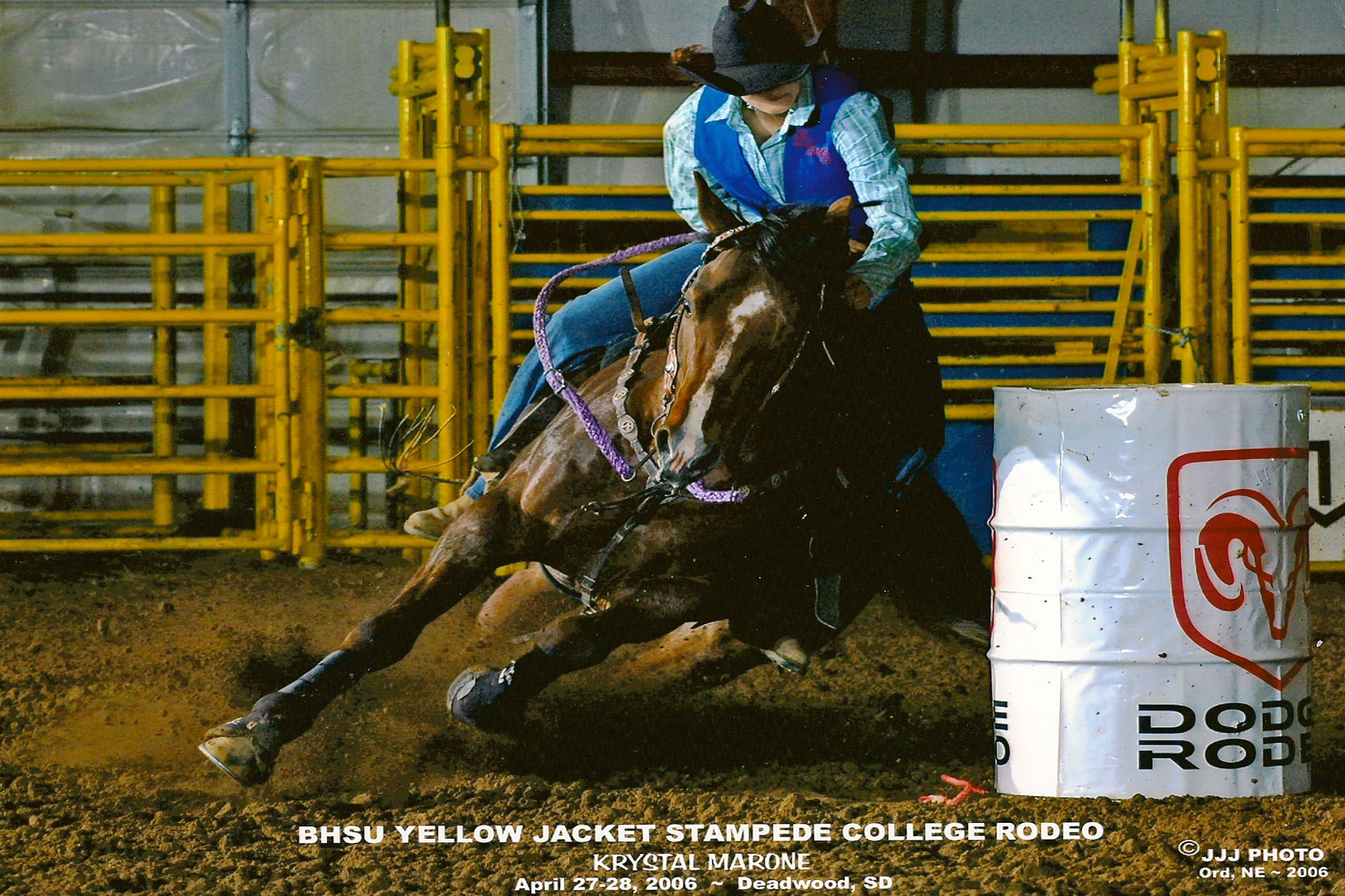 Five Arrow Performance Quarter Horses, Mobridge SD