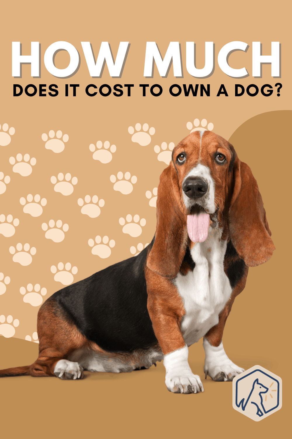 What Is The Cost Of Owning A Dog? Food, Vet Visits, Shots